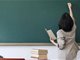 多地中小学实行教师退出机制 不能躺平了?